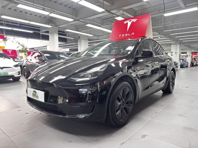 Tesla Model Y 2023 #15 Tesla Model Y 2023 car image #15