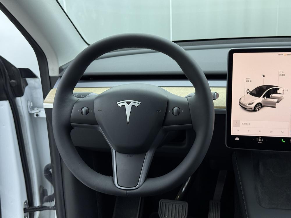 Tesla Model Y 2021 car image #16