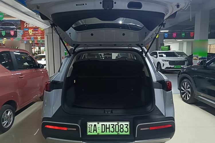 BYD YuanUP 2024 car image #19