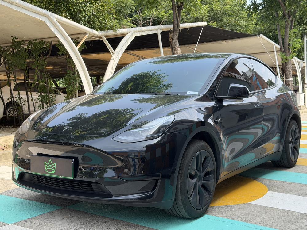 Tesla Model Y 2023 Tesla Model Y 2023 car image