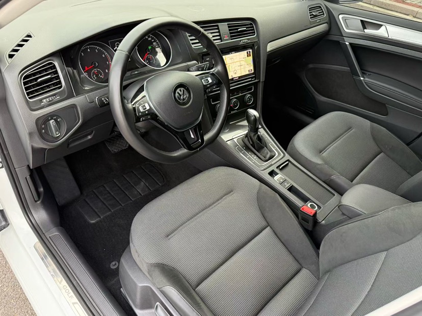Volkswagen Golf 2019 car image #16