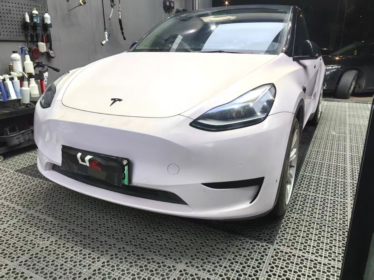Tesla Model Y 2022 Tesla Model Y 2022 car image