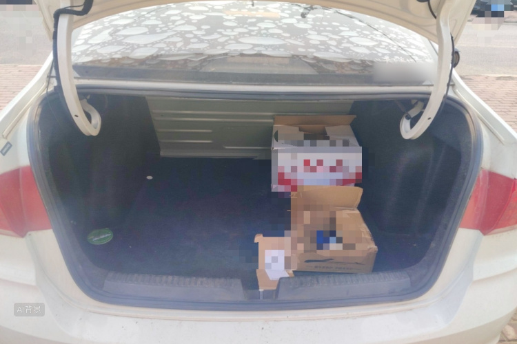 Volkswagen Santana 2020 car image #21