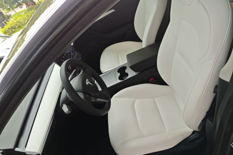 Tesla Model 3 2022 car image #19