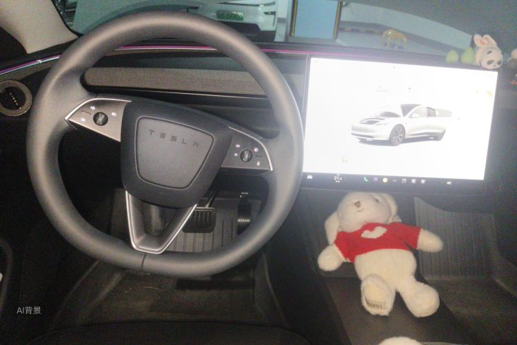 Tesla Model 3 2023 car image #12