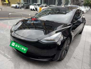 Tesla Model 3 2022 Tesla Model 3 2022 car image