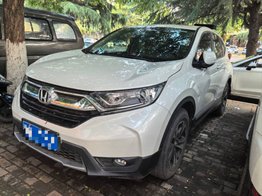 2019 2019 car image