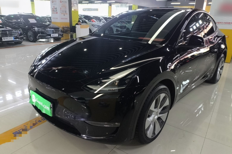 Tesla Model Y 2021 car image #2