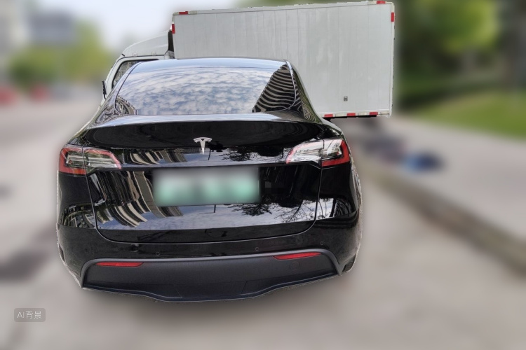 Tesla Model Y 2021 car image #6