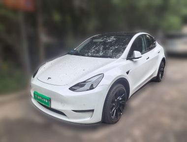 Tesla Model Y 2022 Tesla Model Y 2022 car image