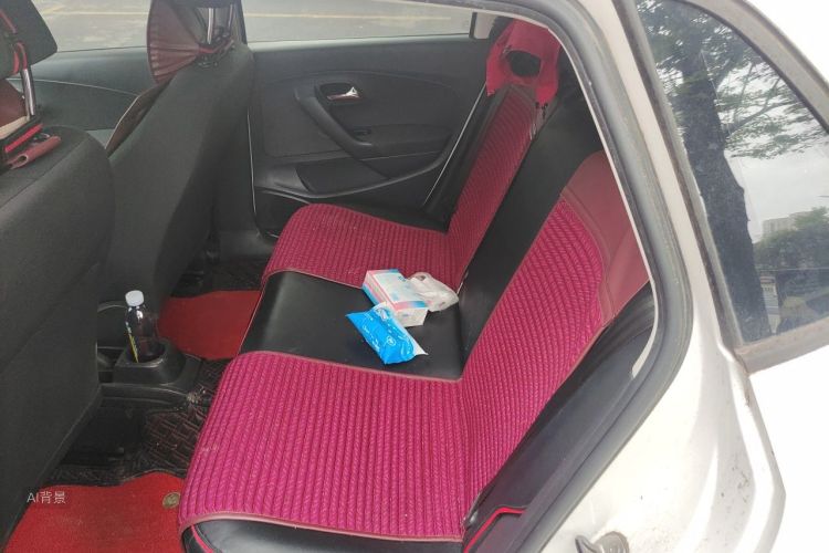 Volkswagen Polo 2016 car image #19