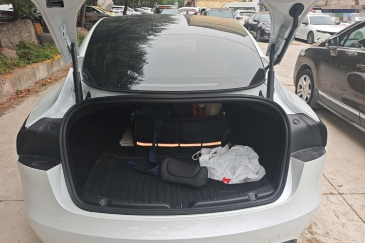 Tesla Model 3 2024 imagem de carro #19