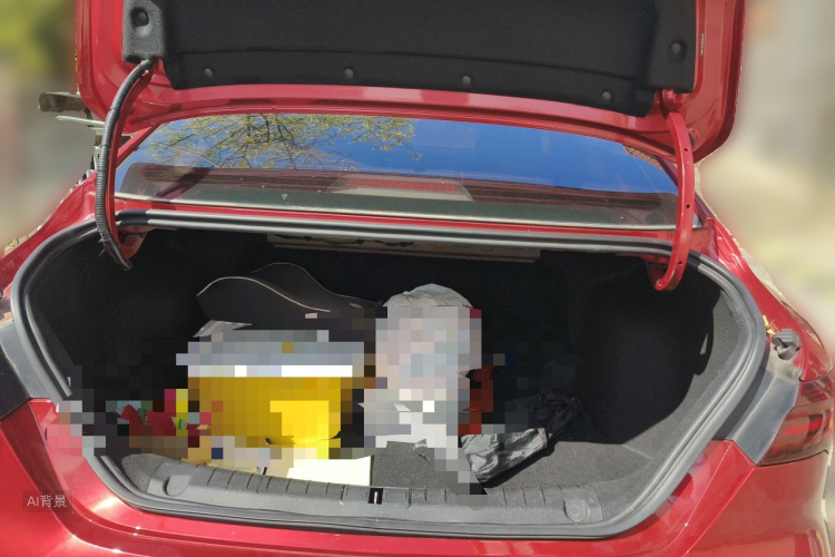 GEELY Binray 2020 #21 GEELY Binray 2020 car image #21
