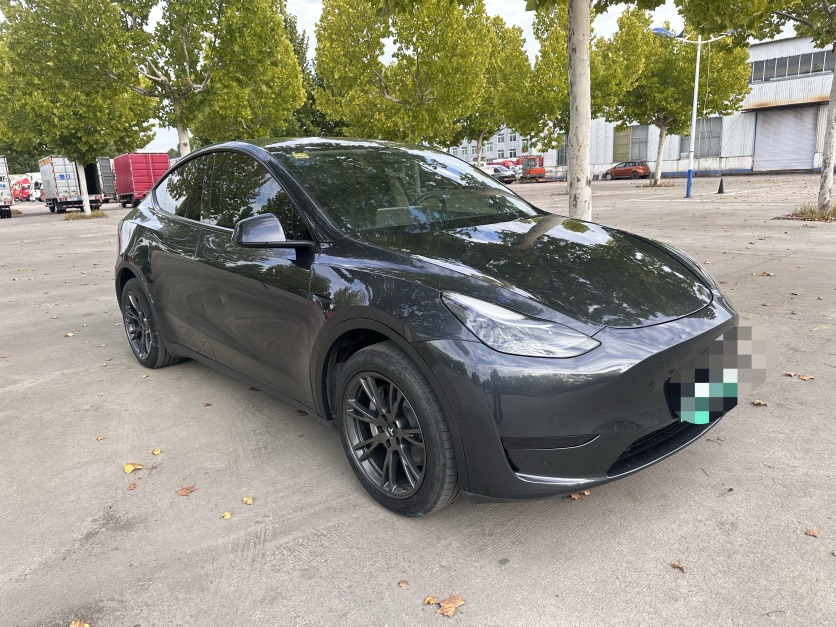 Tesla Model Y 2024 #3 Tesla Model Y 2024 car image #3