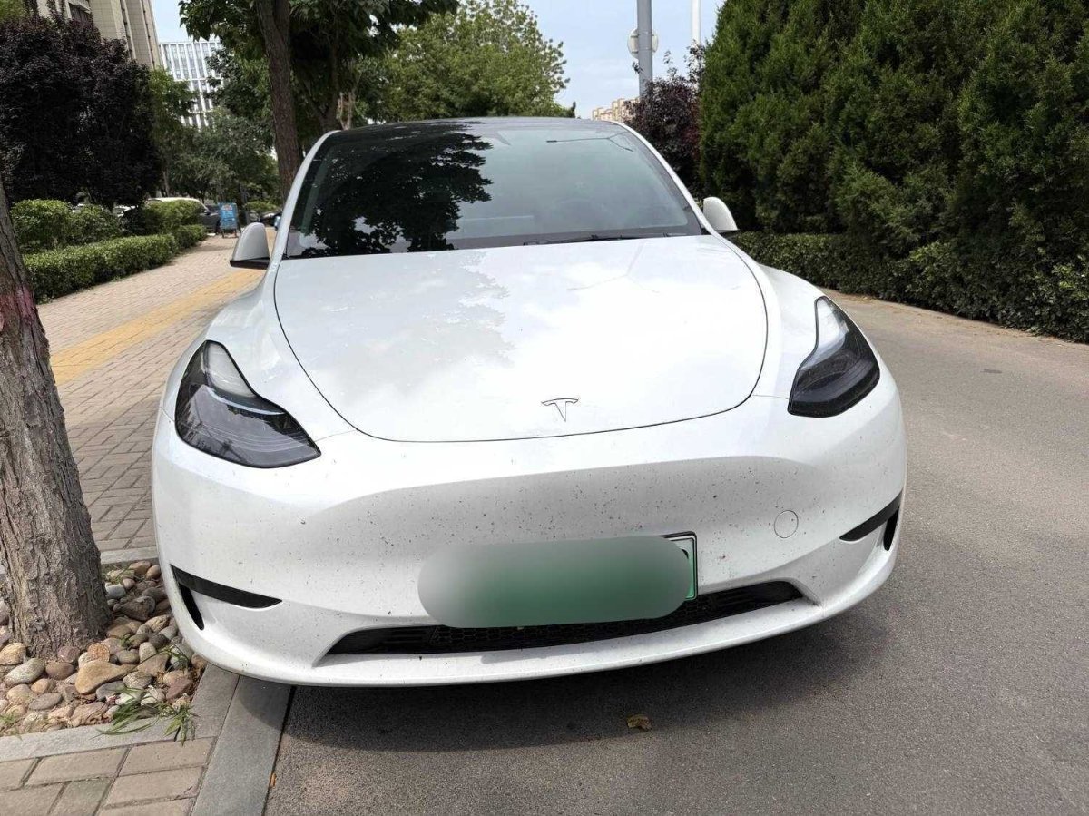 Tesla Model Y 2024 Tesla Model Y 2024 car image