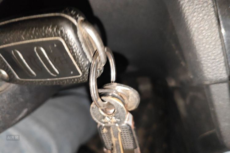 Volkswagen Santana 2022 car image #10