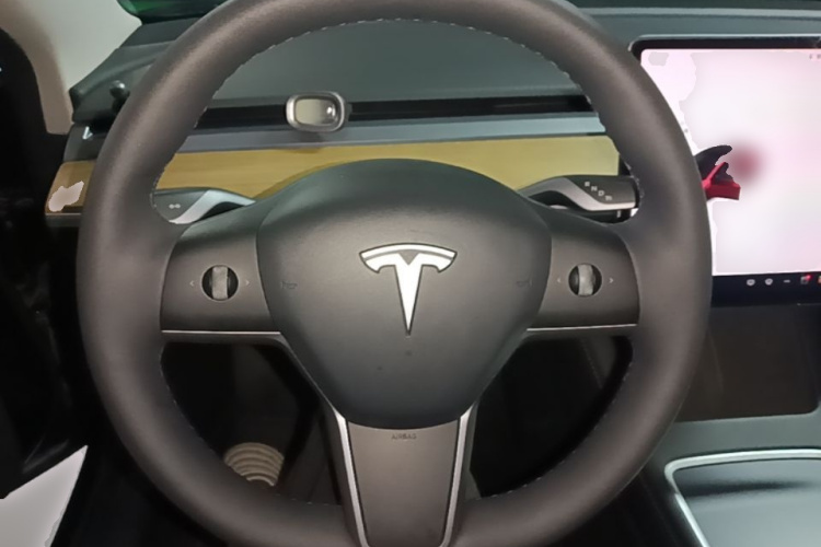 Tesla Model 3 2021 #15 Tesla Model 3 2021 car image #15