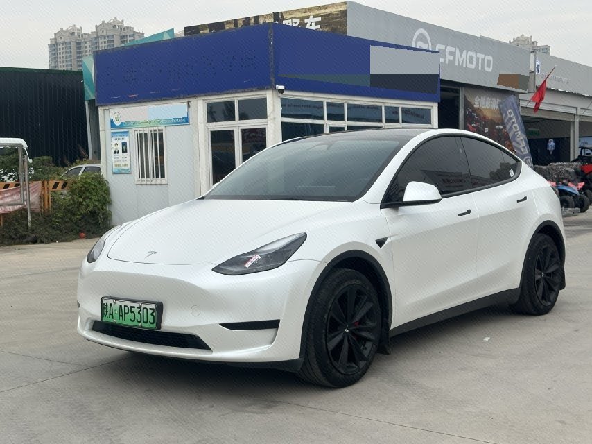 Tesla Model Y 2024 Tesla Model Y 2024 car image