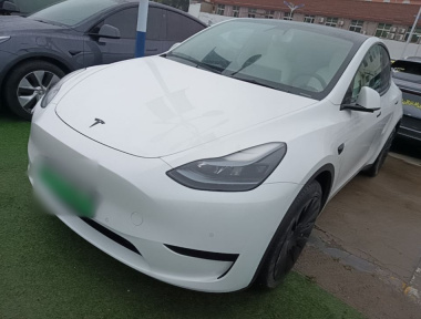 Tesla Model Y 2023 car image 