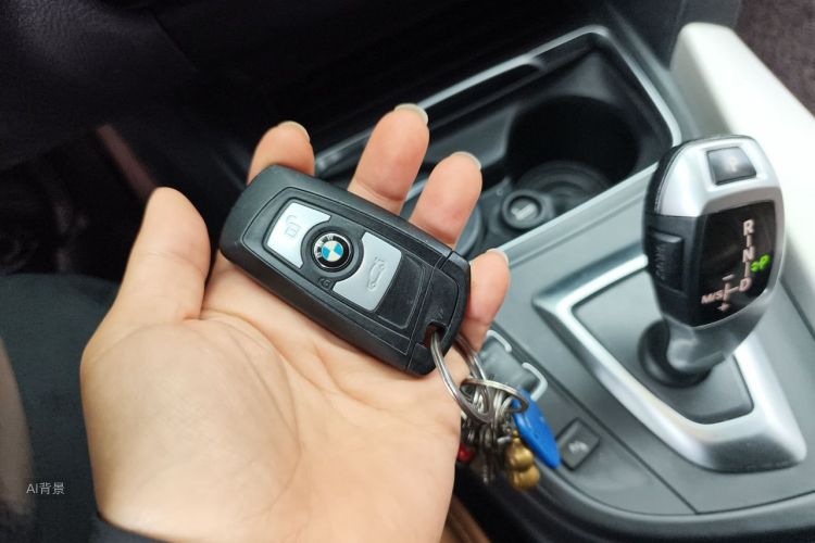 BMW 3 Series 2015 car image #10