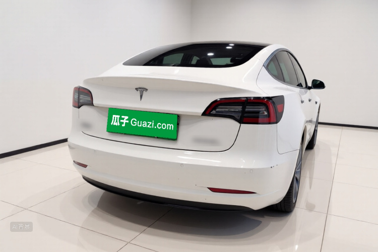 Tesla Model 3 2021 #6 Tesla Model 3 2021 car image #6