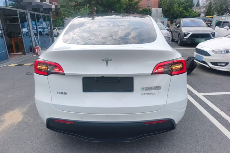 Tesla Model Y 2021 car image #6