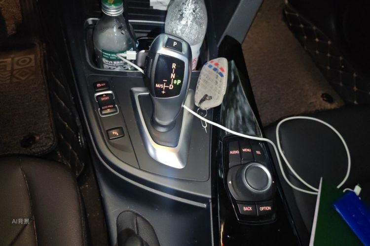 BMW 3 Series 2017 car image #16