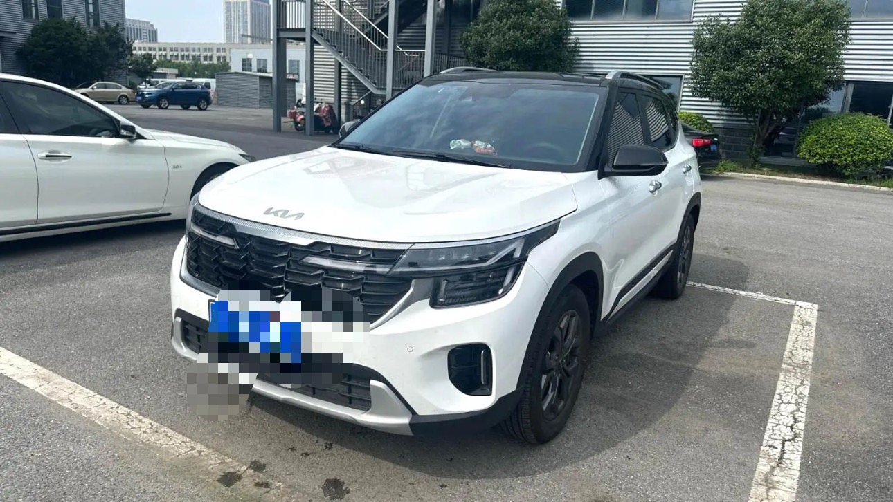 Kia Seltos 2024 car image 