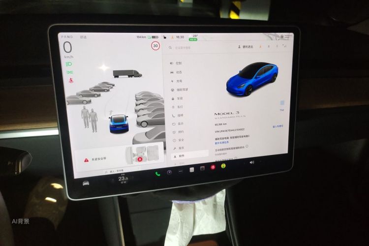 Tesla Model 3 2020 car image #15