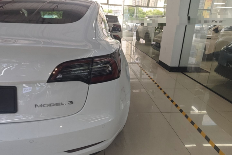 Tesla Model 3 2020 #8 Tesla Model 3 2020 car image #8