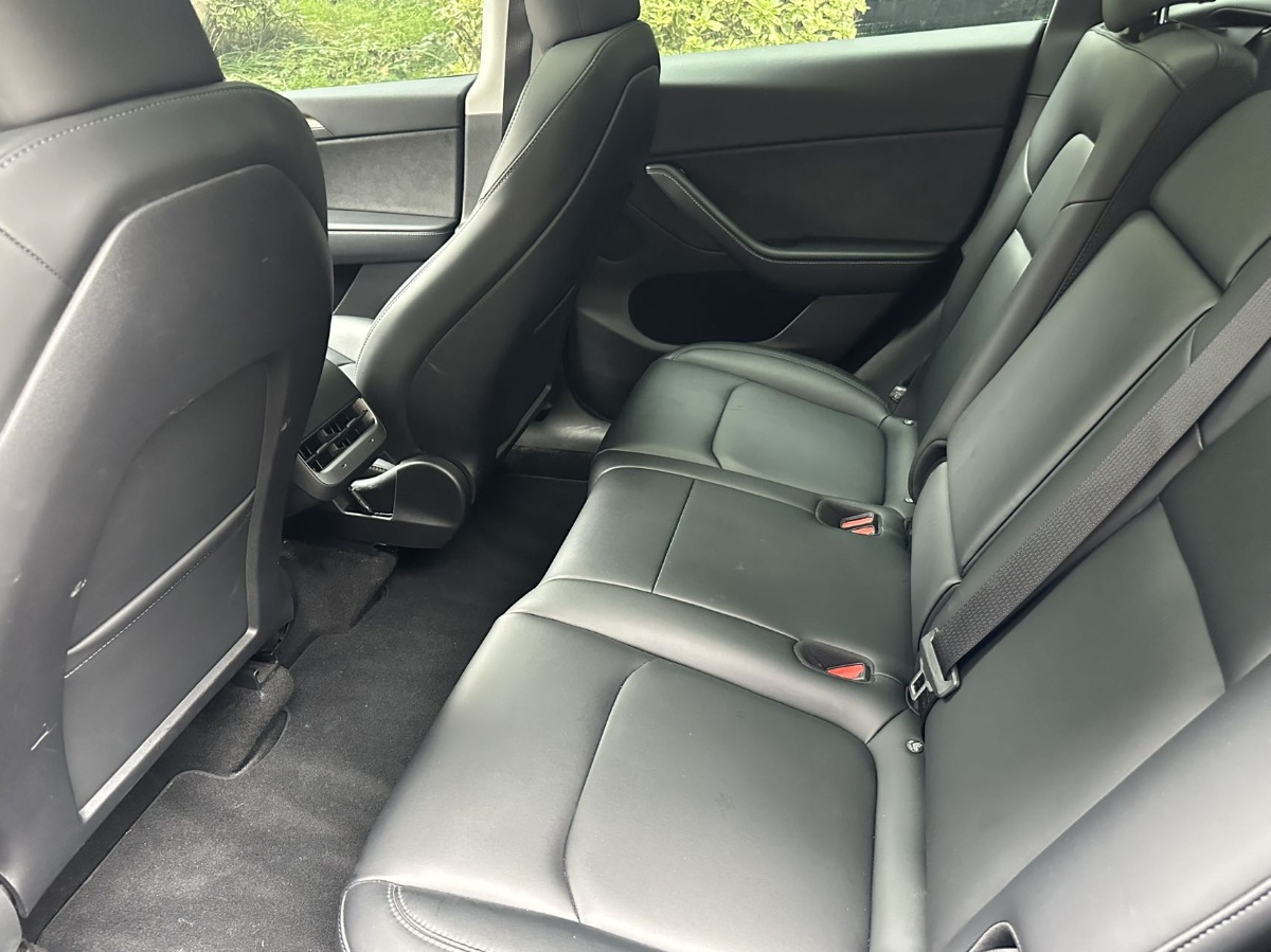 Tesla Model Y 2023 immagine di auto #6