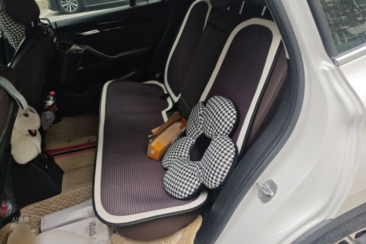 BMW X1 2020 car image #19