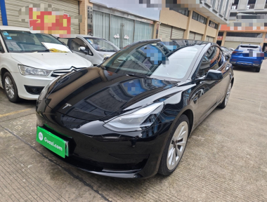 Tesla Model 3 2021 car image 