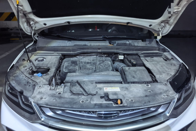 GEELY Coolray 2019 immagine di auto #18