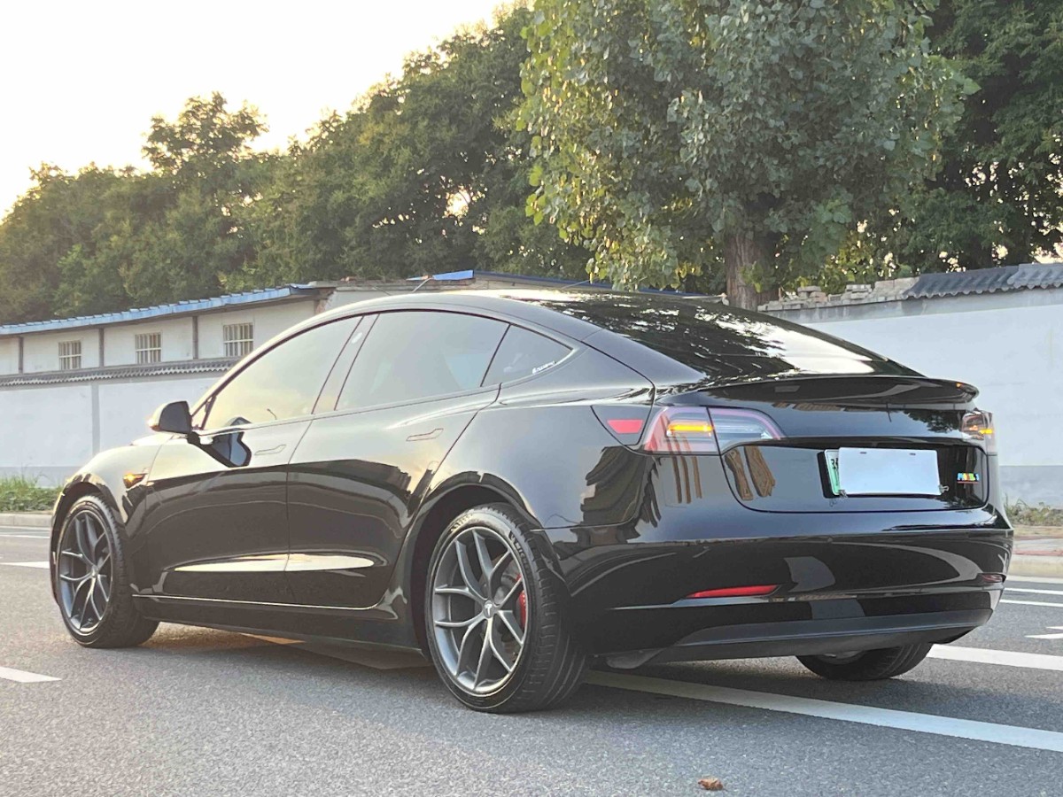 Tesla Model 3 2021 car image #9