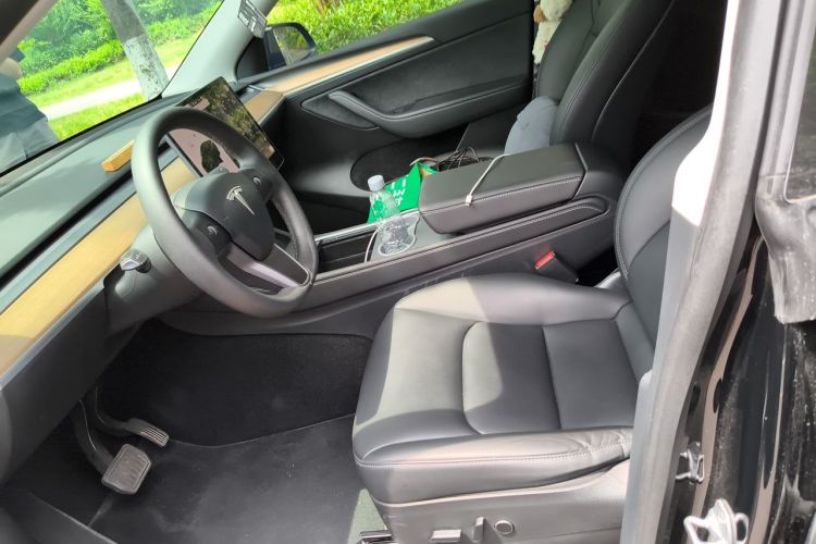 Tesla Model Y 2021 car image #19