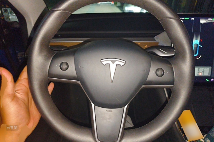 Tesla Model 3 2020 car image #12