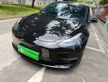 Tesla Model 3 2021 Tesla Model 3 2021 صورة سيارة