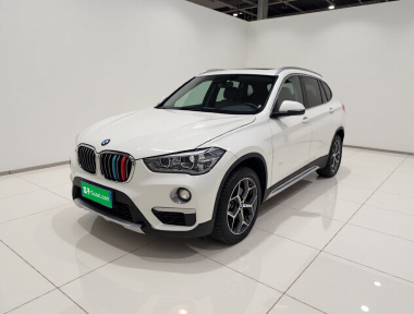 BMW X1 2019 car image 