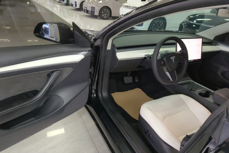 Tesla Model 3 2021 #16 Tesla Model 3 2021 car image #16