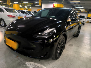 Tesla Model Y 2022 car image 