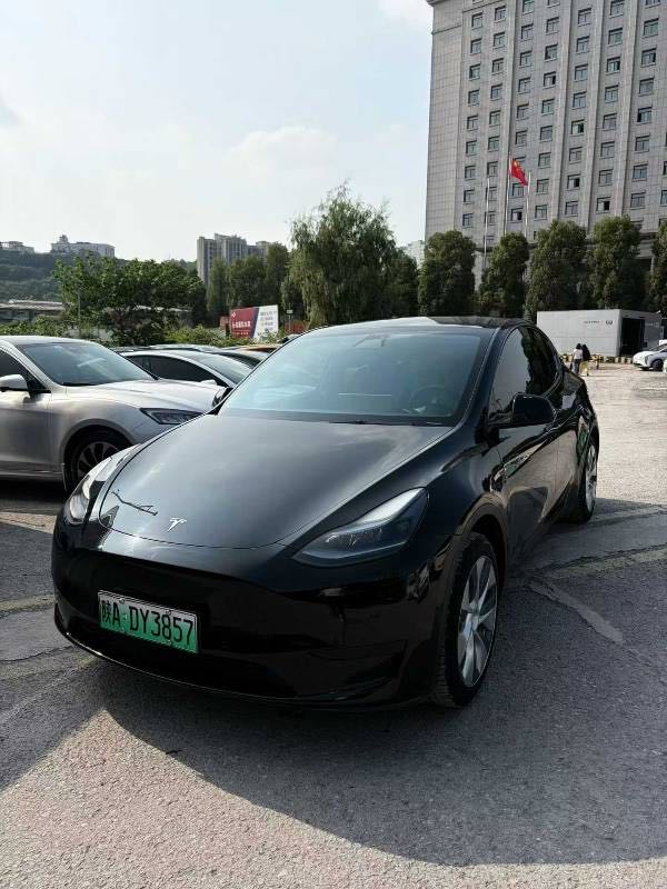 Tesla Model Y 2022 car image #2