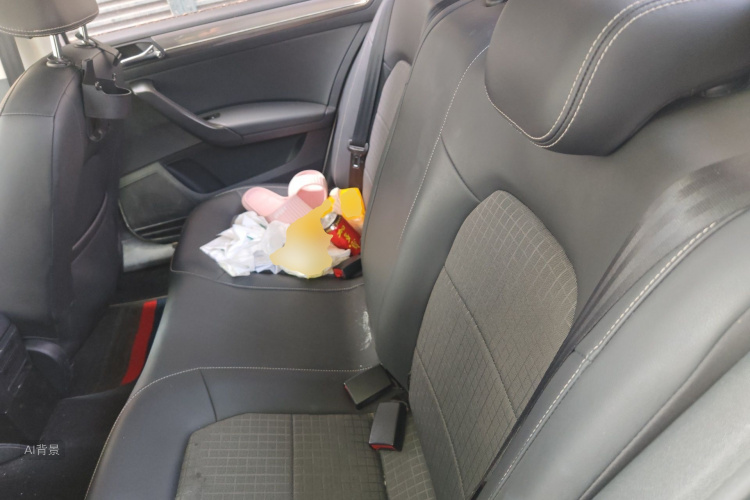 Volkswagen Santana 2017 car image #19