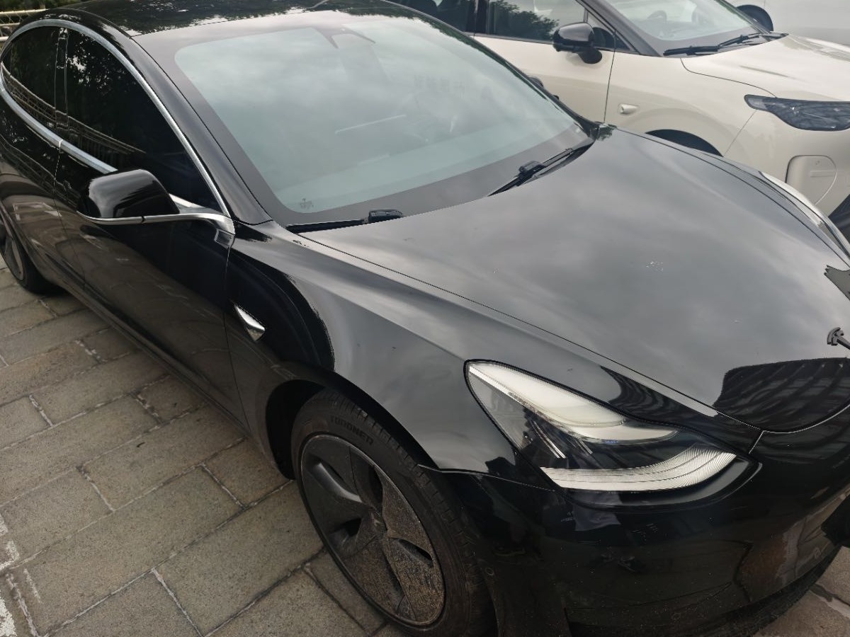 Tesla Model 3 2020 car image #3