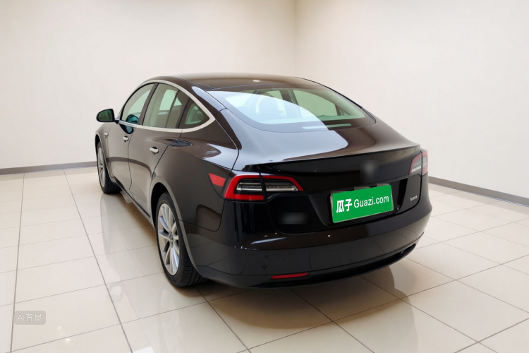 Tesla Model 3 2020 car image #5