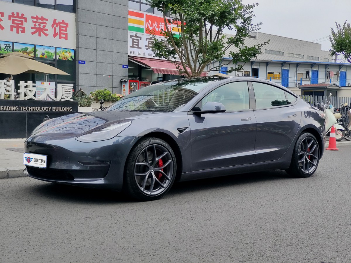 Tesla Model 3 2021 Tesla Model 3 2021 car image