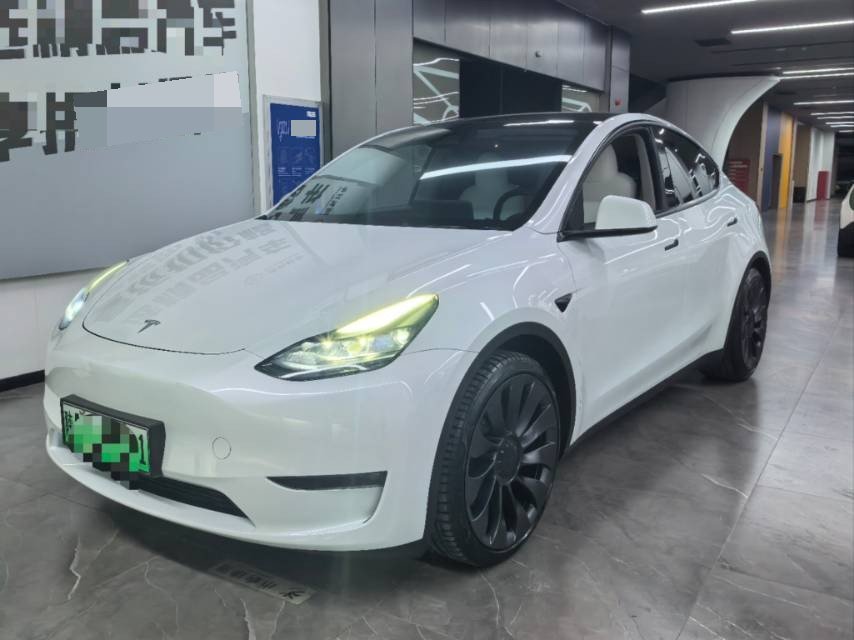 Tesla Model Y 2024 Tesla Model Y 2024 car image