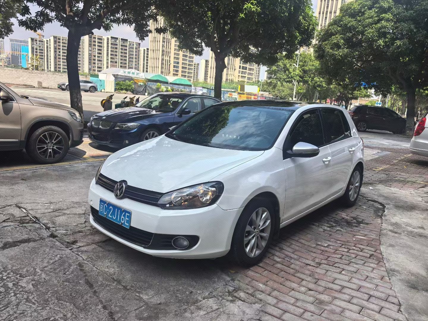 Volkswagen Golf 2013 Volkswagen Golf 2013 imagen de coche