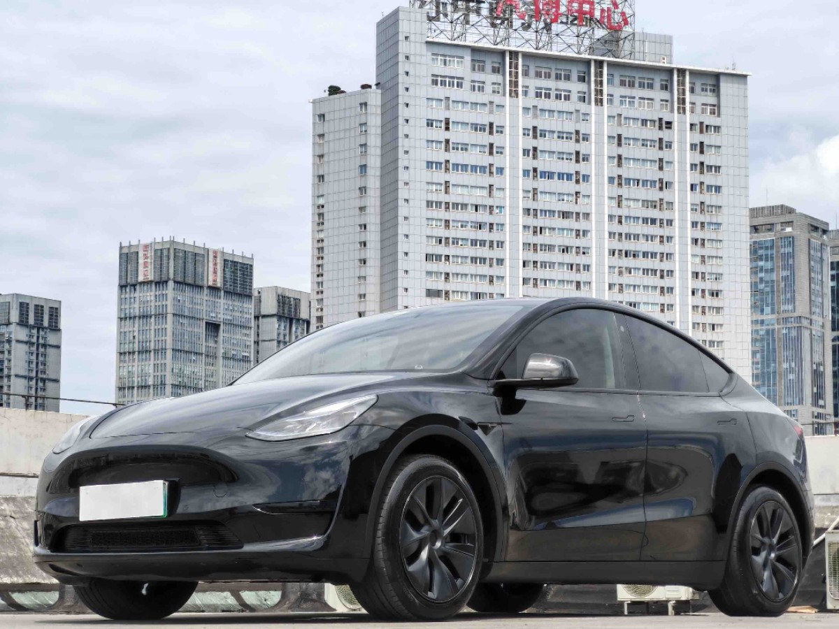Tesla Model Y 2023 Tesla Model Y 2023 car image