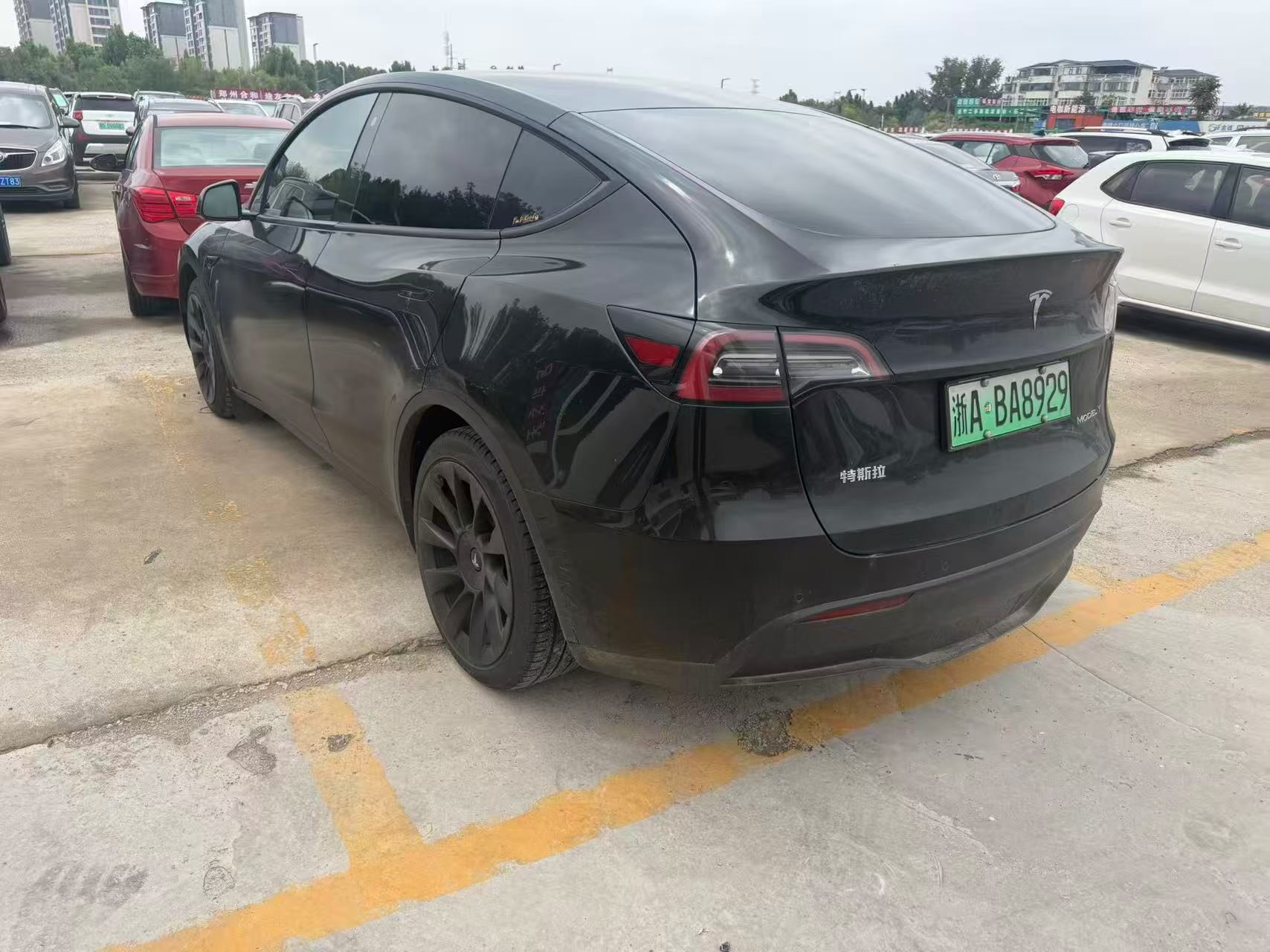 Tesla Model Y 2021 #8 Tesla Model Y 2021 car image #8